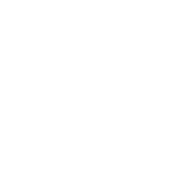 Security-Solarsite-Icon